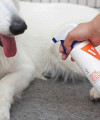 OdorSolution Dog Odor Eliminator przykrych zapachów VETEXPERT 500 ml