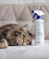 OdorSolution Cat Odor Eliminator przykrych zapachów VETEXPERT 500 ml