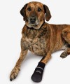 Buty ochronne dla psa miękkie WALKER CARE Trixie