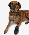Buty ochronne dla psów neoprenowe WALKER CARE Trixie