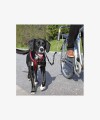 Trixie Biker zestaw z amortyzatorem do jazdy rowerem z psem