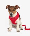 Szelki dla szczeniaka + smycz regulowana Trixie PUPPY DOG obw. 33-47 cm