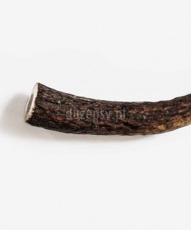 Naturalny gryzak dla psa z rogu jelenia ANTLER DOG CHEW