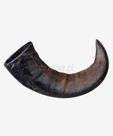 Extra mocny gryzak dla psa z rogu bawoła BUFFALO HORN