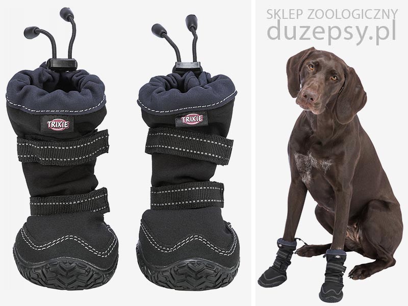 buty dla psa dużego, buty ochronne dla psa, buty Walker dla psa, duże buty dla psa, buty wodoodporne dla psa, buty dla psów Walker, buty dla psa do biegania, buty dla psa sklep internetowy, buty dla psa antypoślizgowe, buty dla psa trixie, buty dla psa labradora, buty dla psa golden retriever, buty dla psa sklep, buty na zime dla psa, trixie buty dla psa, buty dla psa husky, buty na śnieg dla psa, buty dla psa 4 sztuki, buty dla psa owczarek, buty dla psa 30 kg, buty trekkingowe dla psa, ochronne buty dla psa, buty ochronne dla psa xl, wysokie buty dla psa, zimowe buty dla psa