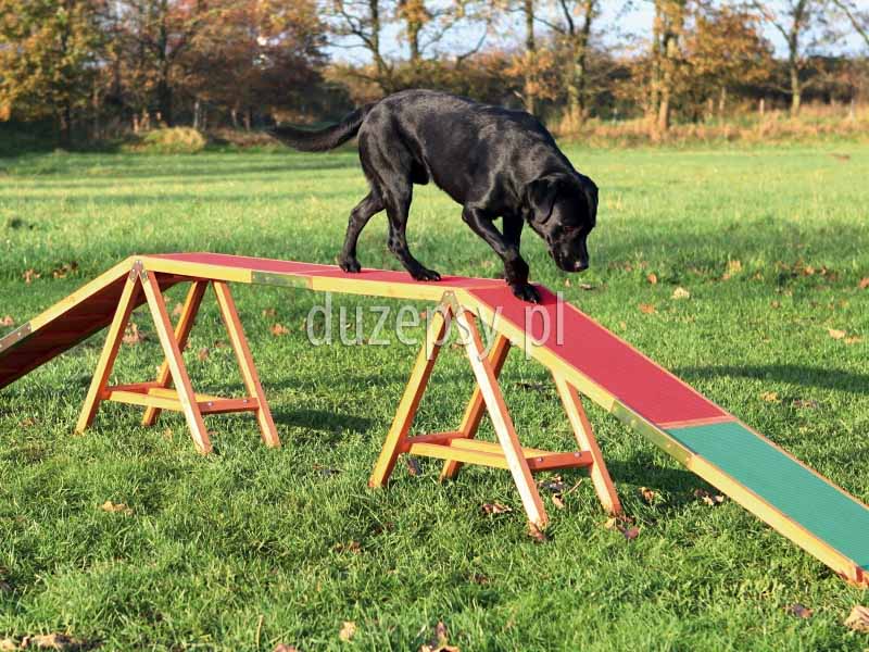 Kładka dla psa do Agility Trixie. Przeszkody do agility, tor agility, sprzęt do agility, wyposażenie placu do agility, akcesoria do agility, sklep zoologiczny, Duzepsy.pl