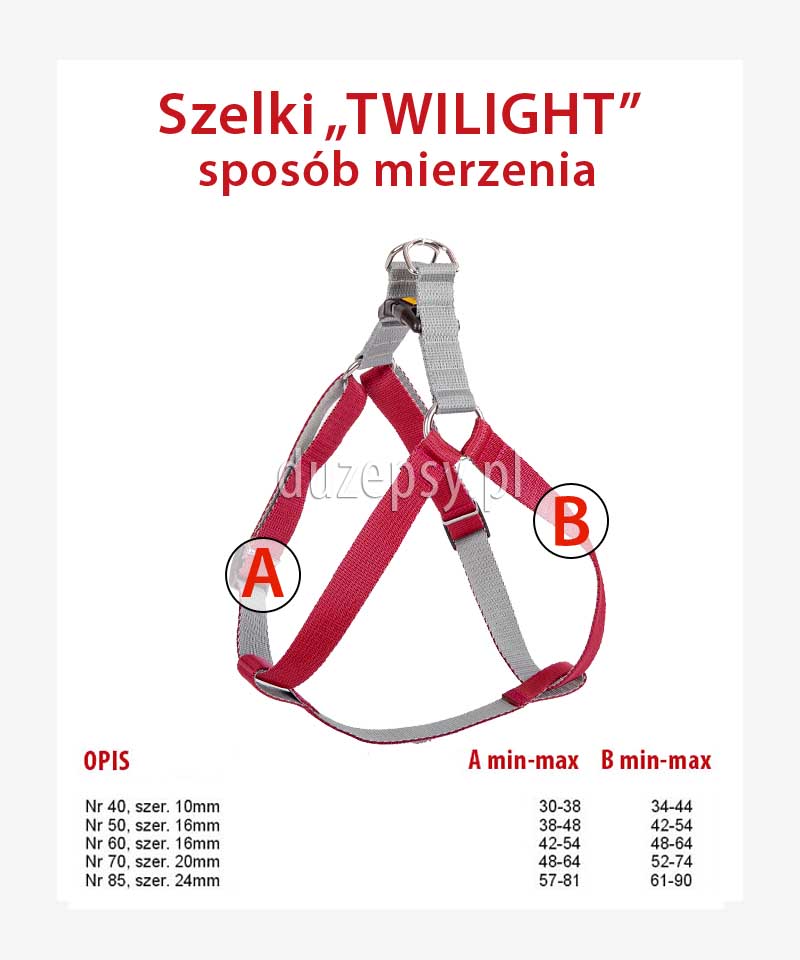 tanie szelki dla psów z taśmy standard; tanie szelki dla psów; mocne szelki dla psa; szelki dla psów; szelki dla Husky; tanie szelki dla psa; szelki z taśmy; szelki Dingo; szelki dla psa duże rozmiary; szelki spacerowe dla psa; kolorowe szelki dla psa, duże psy; sklep zoologiczny; hurtownia zoologiczna; duzepsy.pl; akcesoria zoologiczne; akcesoria dla psów; wygodne szelki dla psów; mocne szelki dla psów; mocne szelki dla psa; szelki dla jamnika; Szelki dla yorka; szelki dla sznaucera