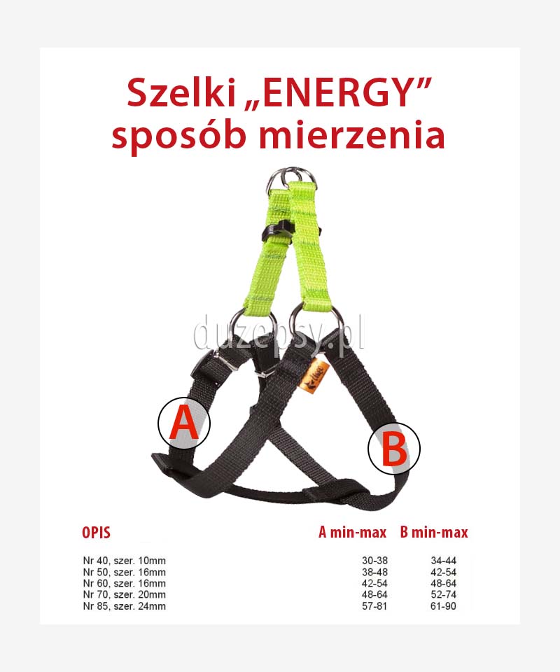 tanie szelki dla psów z taśmy standard; tanie szelki dla psów; szelki dla psa średniego, szelki dla psa parciane, szelki dla psa beagle, szelki dla psów; szelki dla Husky; tanie szelki dla psa; szelki z taśmy; szelki Dingo; szelki dla psa duże rozmiary; szelki spacerowe dla psa; kolorowe szelki dla psa, duże psy; sklep zoologiczny; duzepsy.pl; akcesoria zoologiczne; akcesoria dla psów; wygodne szelki dla psów; mocne szelki dla psów; mocne szelki dla psa; szelki dla jamnika; Szelki dla yorka; szelki dla sznaucera