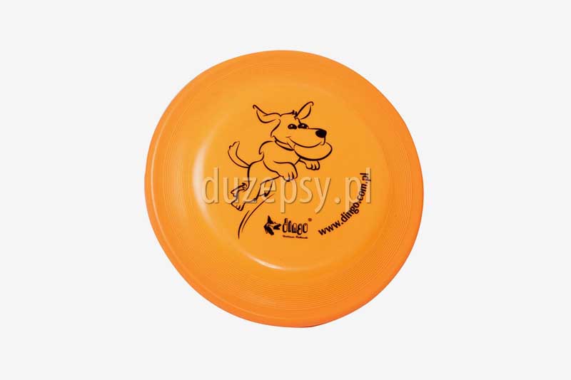 frisbee; border collie; zabawki dla psów; zabawka dla psa; psy aktywne; jak się bawić z psem; agility; sklep zoologiczny; hurtownia zoologiczna